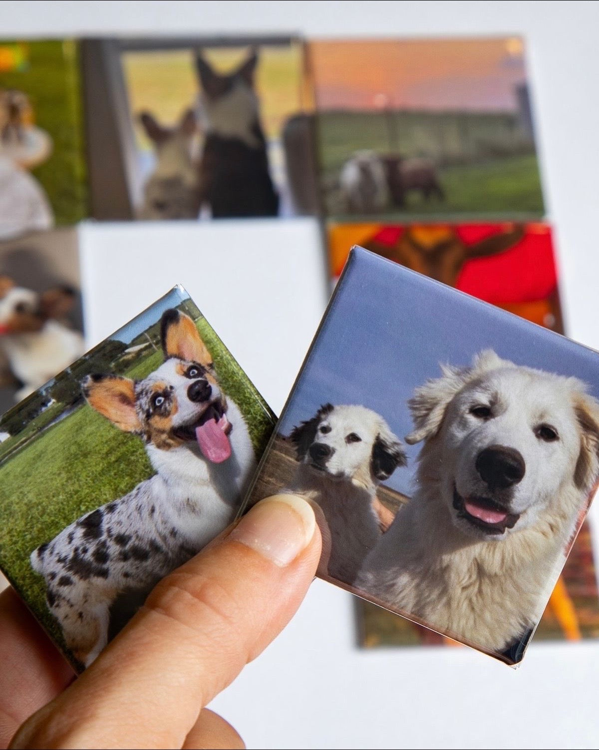 Custom Photo Magnets