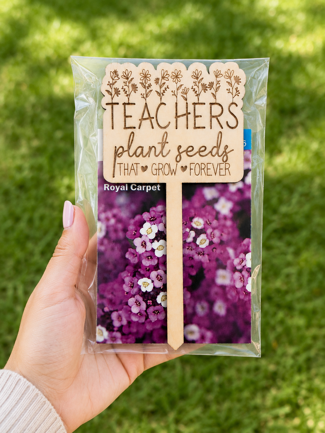 Teachers Plant Seeds Kit